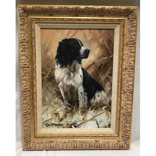 1096 - John Trickett oil painting on board of black and white Springer Spaniel, signed lower left, picture ... 