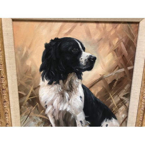 1096 - John Trickett oil painting on board of black and white Springer Spaniel, signed lower left, picture ... 