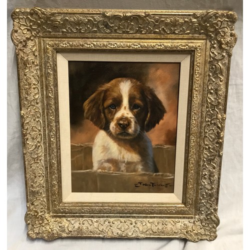 1097 - John Trickett oil painting on canvas of Springer Spaniel puppy in decorative gilt frame, signed lowe... 