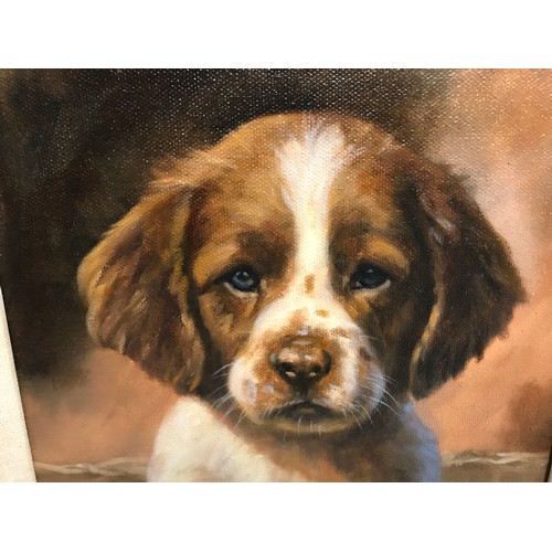 1097 - John Trickett oil painting on canvas of Springer Spaniel puppy in decorative gilt frame, signed lowe... 