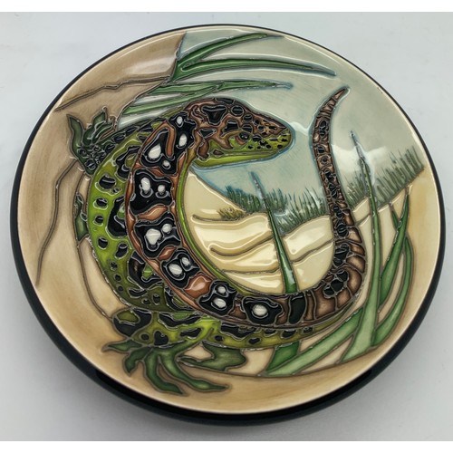 69 - Moorcroft boxed sand lizard dish RSPB success stories collection designer Vicky Lovett 2019. 12cm d.