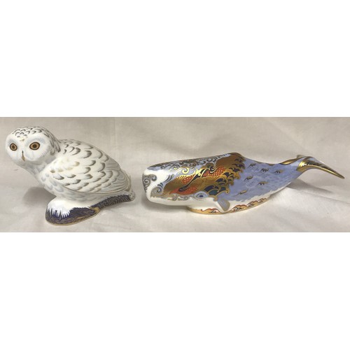 126 - Royal Crown Derby Paper Weights Oceanic Whale, 22cms length, 6cms high and Snowy Owl, 9.5cms high. C... 