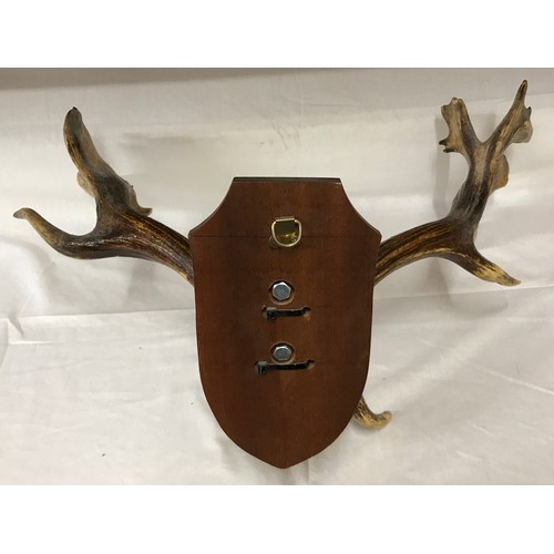 783 - A pair of mounted antlers on wooden base. Max width 60cm, max height approx 30 cm.