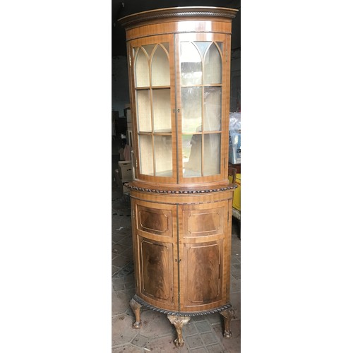 1174 - Walnut bow front corner cabinet, 2 glazed door top, 2 door base, claw and ball feet.