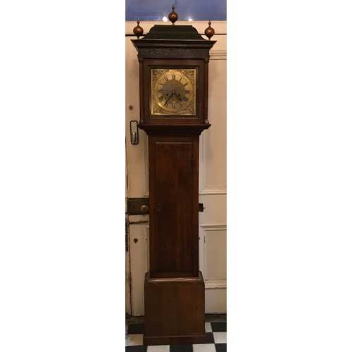 663 - An 8 day oak longcase clock by John Hall of Beverley with brass face. 220 h x 43 w x 28cm d.