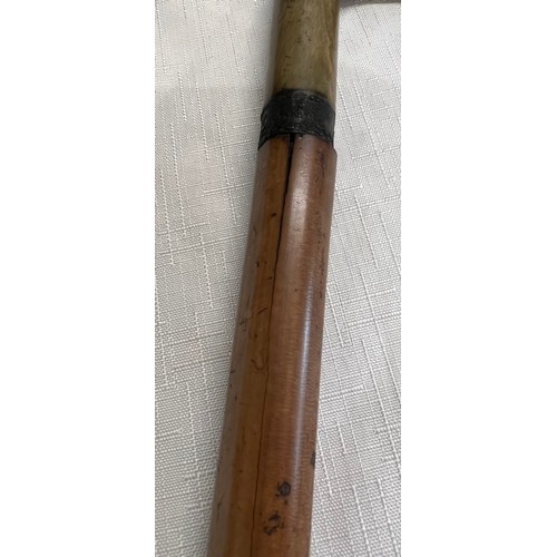 1059 - A 19thC wooden cased swordstick with horn handled 89cm l.