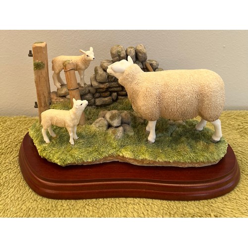 270 - Border Fine Arts 'Farming Today' Texel Ewe & Lambs A8951. With box. 23 x 14cm.