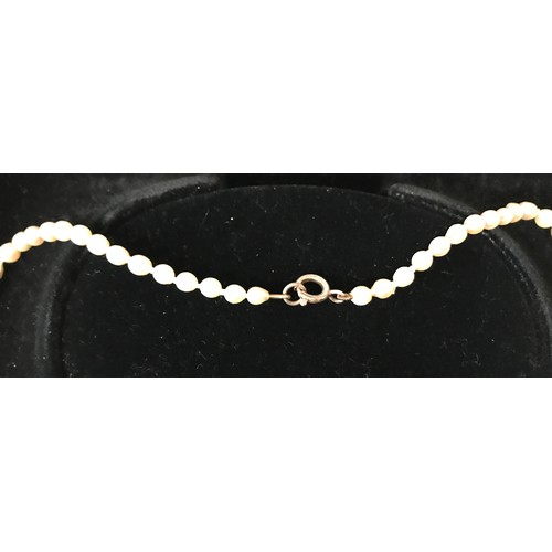 332A - A single strand of 75 cultured pearls graduating in diameter from approx. 6.5-7mm at the centre fron... 