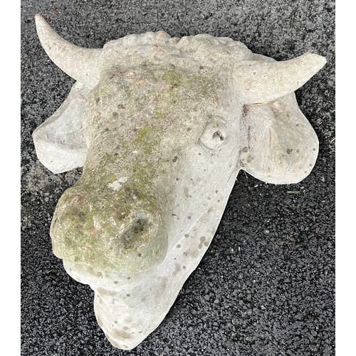 1359B - A reconstituted bull. 42cm across one horn .