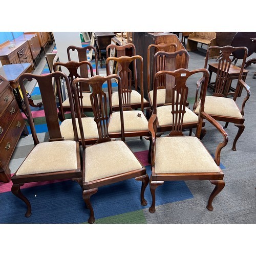 167 - Ten mahogany dining chairs including 2 carvers with drop in seats and cabriole legs to front. (TABLE... 