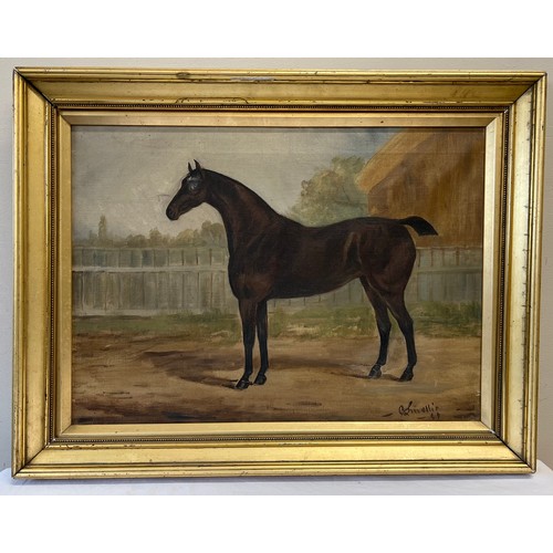 1315 - A 19thC oil on canvas horse portrait 39 x 55cm sight size in gilt frame, inscribed L.R.