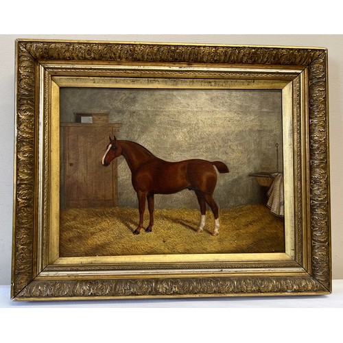 1316 - A 19thC oil on canvas horse portrait, horse in stable setting in gilt frame. 29 x 39.5cm sight size.