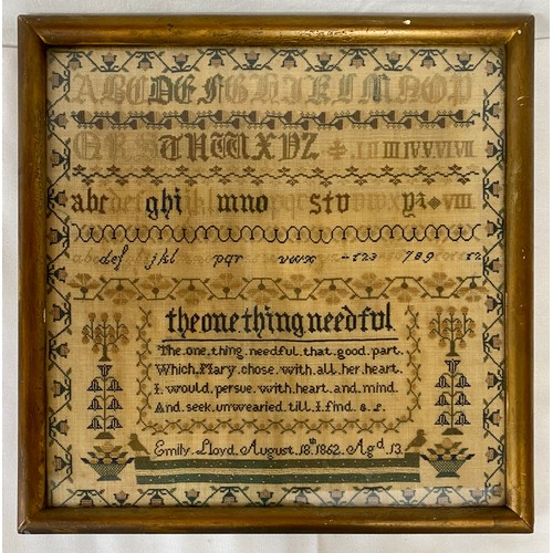 725 - A 19thC Sampler by Emily Lloyd dated August 18th 1862 aged 13 years. Visible image is 32cm x 32cm.