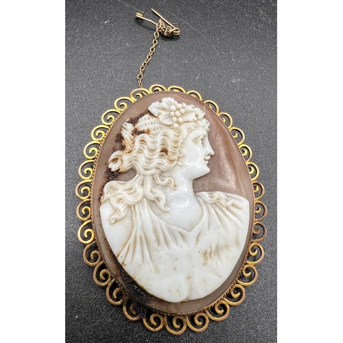 548 - A carved shell cameo brooch in a 9ct gold mount with safety chain 6 x 4.5cm. Total weight 18gm.