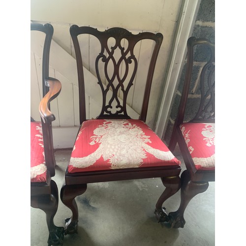 10 - Four early 20thC mahogany dining chairs, 2 carvers and 2 side chairs with ball and claw feet.