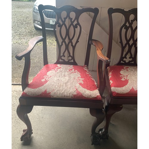 10 - Four early 20thC mahogany dining chairs, 2 carvers and 2 side chairs with ball and claw feet.