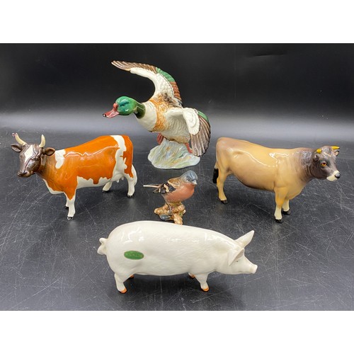 325 - Five pieces of Beswick to include CH. Dunsley Coyboy (Jersey cow), CH. Ickham Bessie (Ayrshire cow),... 