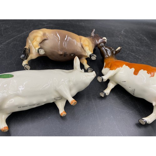 325 - Five pieces of Beswick to include CH. Dunsley Coyboy (Jersey cow), CH. Ickham Bessie (Ayrshire cow),... 