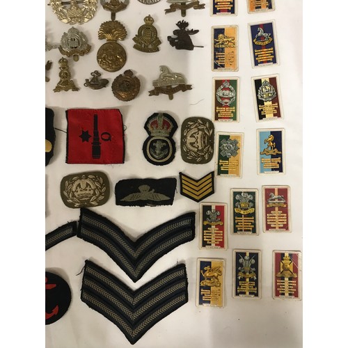 1202 - A collection of WWI and WW2 cap badges and shoulder titles to include RAF, Royal Navy, Japanese etc ... 