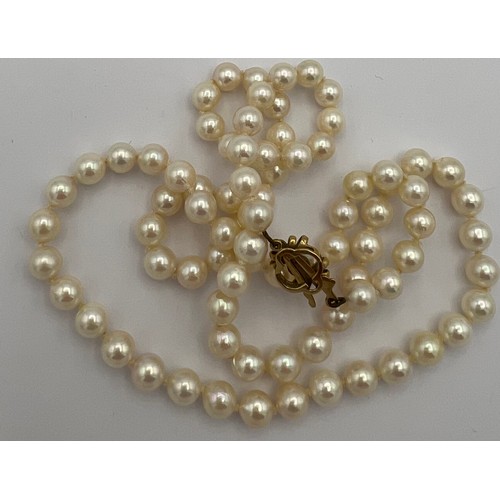 581 - Single strand cultured pearl necklace with 9 carat gold clasp.  58cm length.