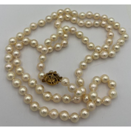 582 - Single stand pearl necklace with 9 carat gold pearl and garnet set clasp. 78cm length approximately.