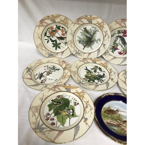 356 - A set of 8 Royal Worcester John James Audubon Birds of America. Cabinet plates from an edition of 50... 