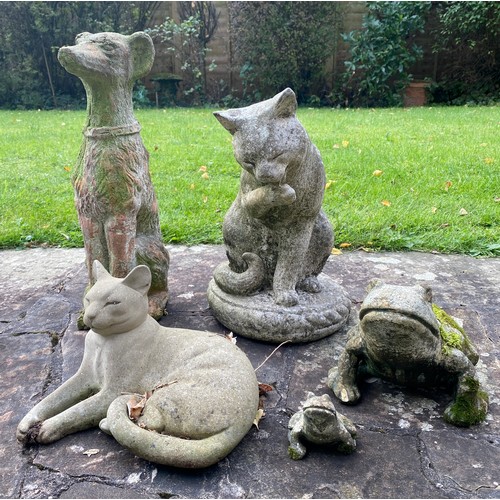 232 - A mixture of reconstituted stone and terracotta animals to include cats, dog and frogs. Dog 50cm h.