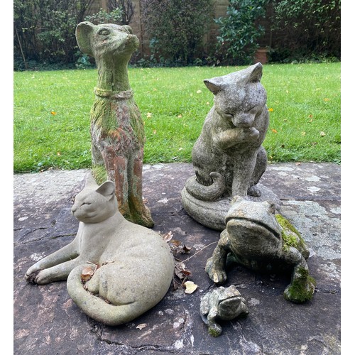 232 - A mixture of reconstituted stone and terracotta animals to include cats, dog and frogs. Dog 50cm h.