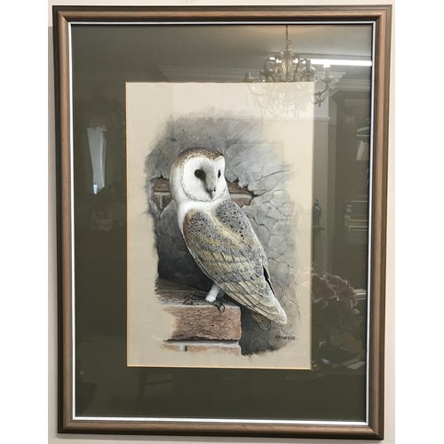 1562 - Watercolour of a barn owl perched on a brick by John Frank Haywood 1936-1991. Image measures approx ... 