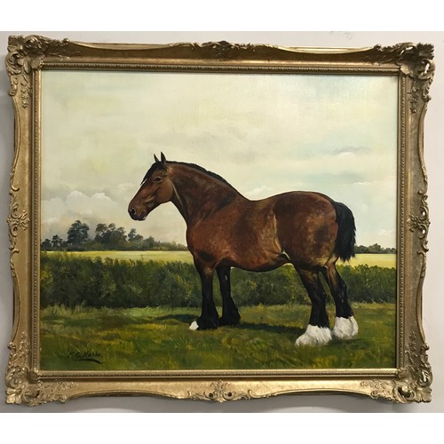 1563 - Oil on board of a horse in a field signed F G Noble lower left, 50 x 61cm.