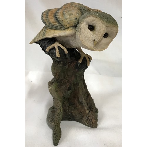 1013 - Collection of three Owl models to include Border Fine Art Finesse - Barn Owl and Gothic window, 1988... 