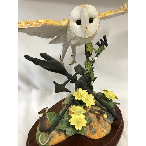 1015 - Border Fine Arts B0908 Flying Barn Owl. 31h x 39cm wingspan.