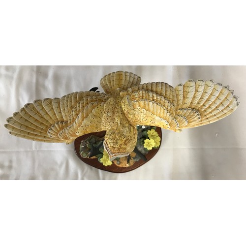 1015 - Border Fine Arts B0908 Flying Barn Owl. 31h x 39cm wingspan.