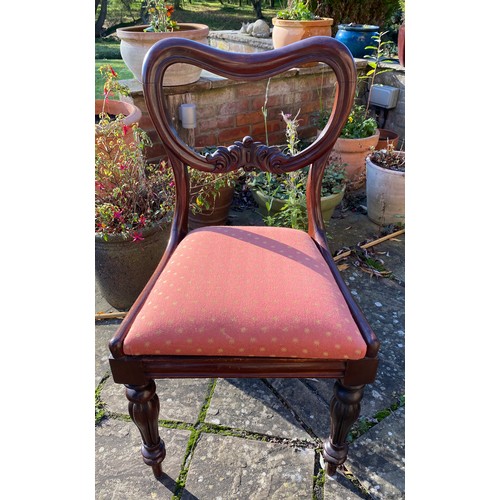 35 - Ten mahogany balloon back dining chairs with red and gold upholstery  83cm h to back 45cm h to seat.