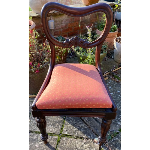 35 - Ten mahogany balloon back dining chairs with red and gold upholstery  83cm h to back 45cm h to seat.