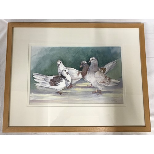 1144 - Watercolour of pigeons by Anita Pegler signed lower right 24.5 x 39cm.