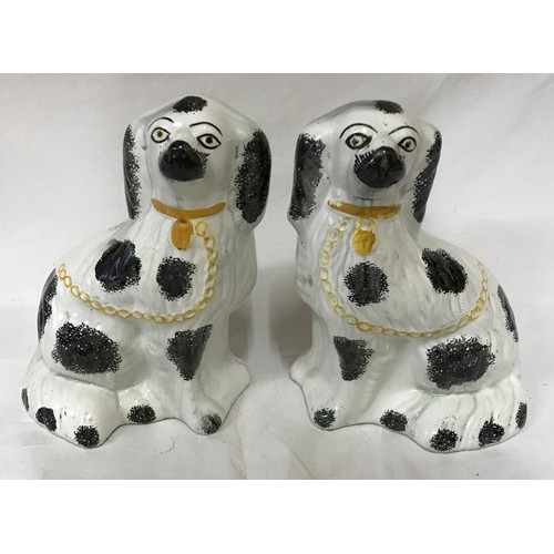 244 - Pair of Staffordshire dogs 22cm h.