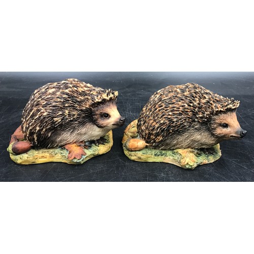 785 - Border fine arts figures to include two hedgehogs, kingfisher and ginger cat on post along with thre... 