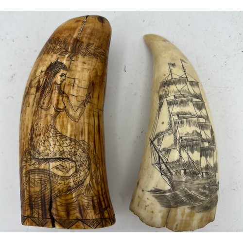 1075 - Two scrimshaw whales teeth, one with ship and mermaid and one with ship. Largest 11.5cm h.