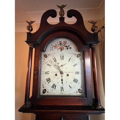 828 - An 18 day oak longcase clock, Popplewell, Bridlington with painted face. 223 h x 47 w x 25cm d.