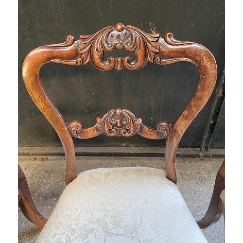 93 - Four Victorian balloon back dining chairs. 84cm h to back, 44cm to seat.