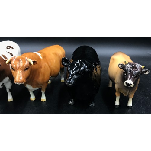 126 - A group of 5 Beswick bulls to include, CH Sabrina's Sir Richmond 14th, CH Whitehill Mandate, Dunsley... 