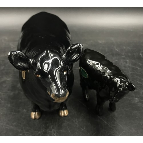 129 - A Beswick Aberdeen Angus cow 11cm h and calf along with a Charolais cow and calf gloss finish.