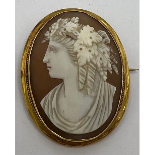 493 - A carved shell cameo brooch in a 9 carat gold surround. 5 x 4cm. Total weight 11.6gm.