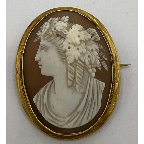 493 - A carved shell cameo brooch in a 9 carat gold surround. 5 x 4cm. Total weight 11.6gm.