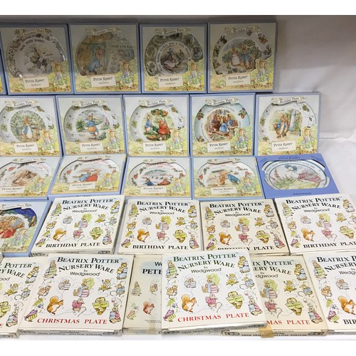 156 - A collection of 36 Wedgwood 'The world of Beatrix Potter Peter Rabbit' plates to include 20 Christma... 