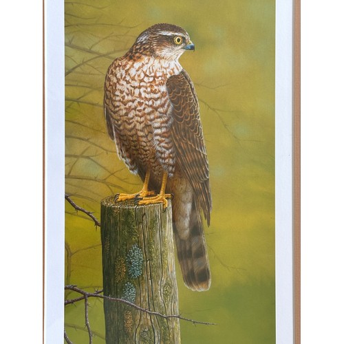 1296 - Robert E Fuller (British 1972-) Two limited edition colour prints signed and numbered in pencil. 'Ow... 