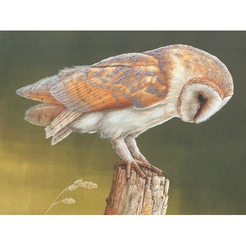 1296 - Robert E Fuller (British 1972-) Two limited edition colour prints signed and numbered in pencil. 'Ow... 