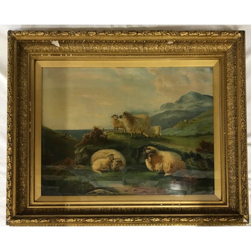 1360 - A large oil on canvas in gilt frame of sheep on cliffside, signed Walter Bond 1897 lower left. Image... 