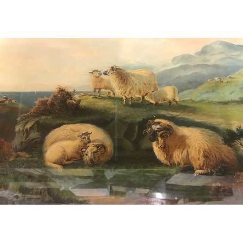 1360 - A large oil on canvas in gilt frame of sheep on cliffside, signed Walter Bond 1897 lower left. Image... 